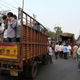 Migrants in Andhra Pradesh being moved to shelter homes.